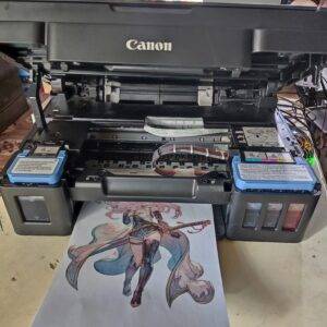 430205761 738980861669710 6605984598244747165 n