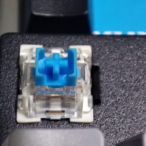 FB IMG 1732075466975